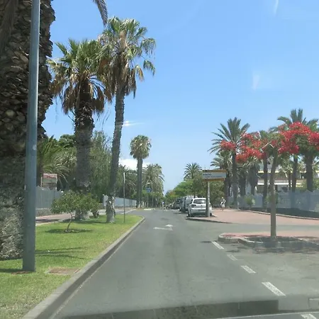 Tenerife With Impressive Pool 315