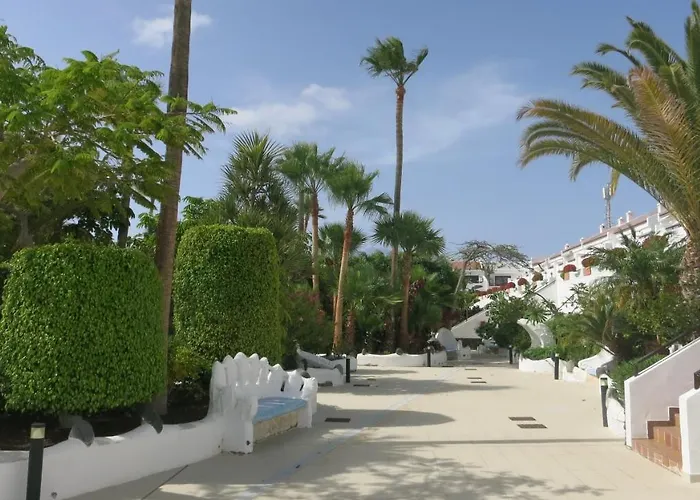 Tenerife With Impressive Pool 315 Costa Del Silencio