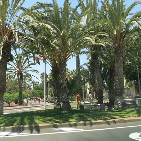 Apartamento Tenerife With Impressive Pool 315 *