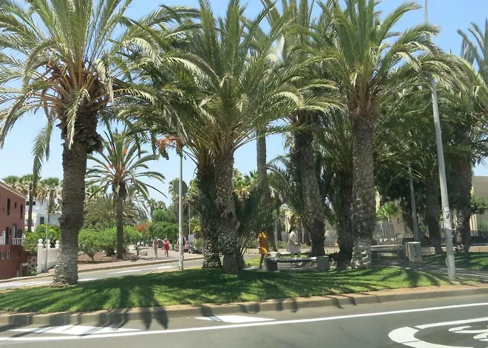 Apartamento Tenerife With Impressive Pool 315 *